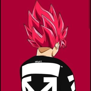 Meet your Posher, Evan